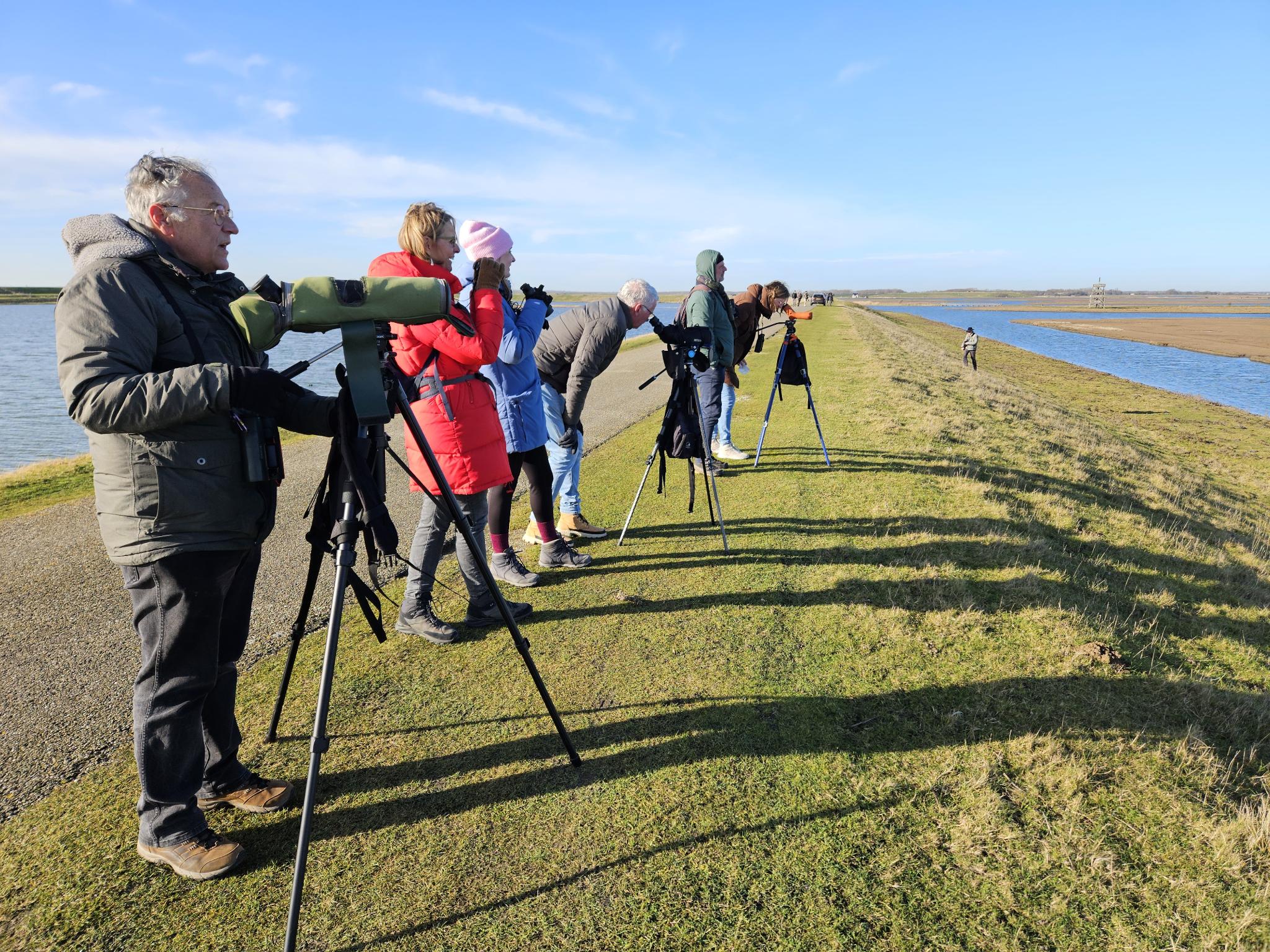 (Zeeland). Foto van Margot Klingers.
Vogelaars